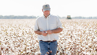 Industry Profiles - Man in cotton field