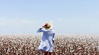 woman in cotton field wearing hat