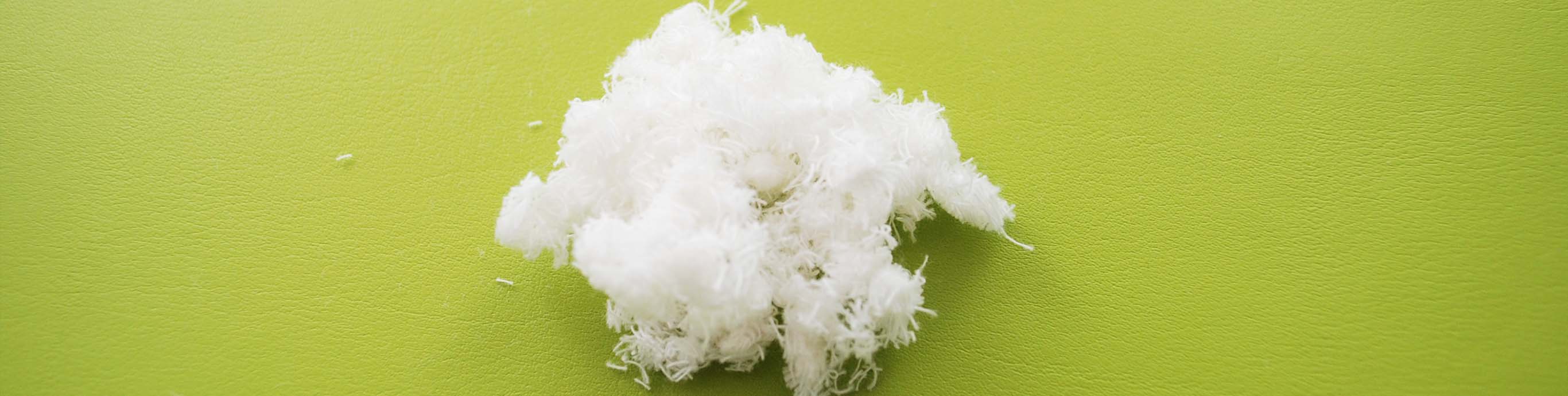 Cotton Biodegradability