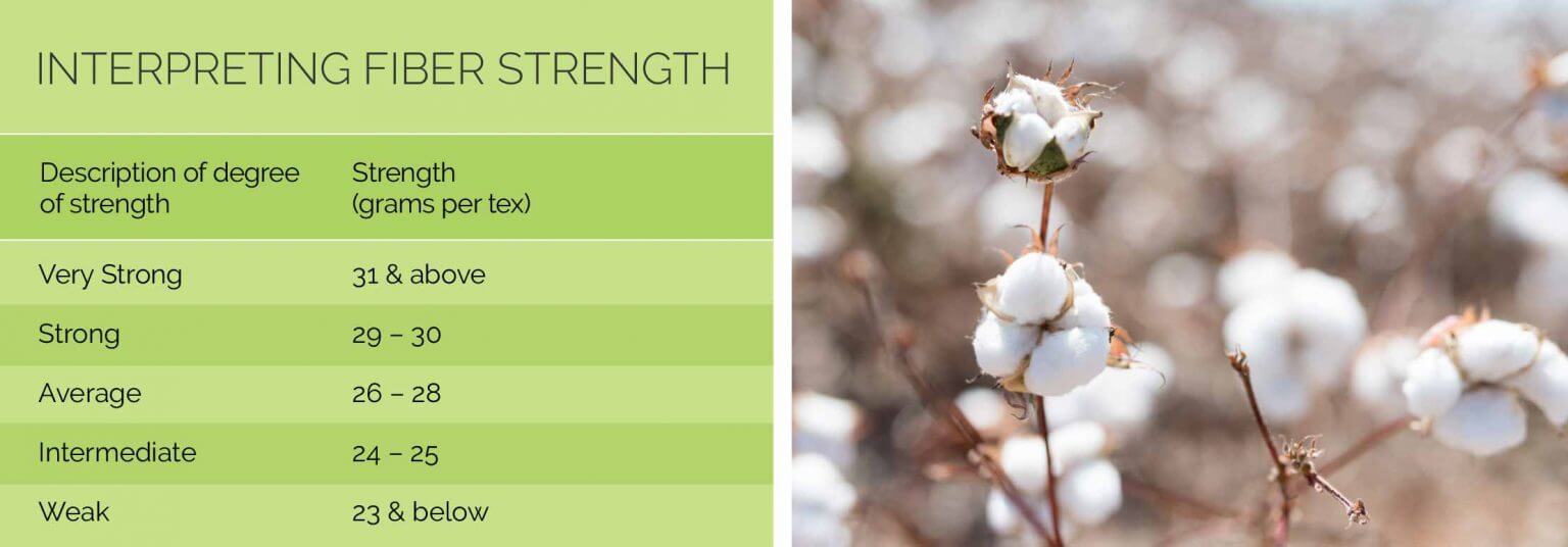 Cotton Fiber Qualities & Evaluation